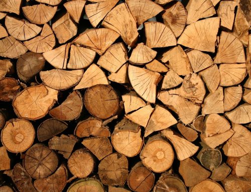 Mithilfe erforderlich – Holz im Wert von ca. 50.000 Euro entwendet